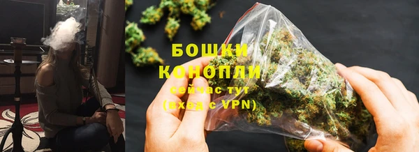 шишки Каменногорск