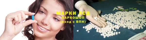 шишки Каменногорск