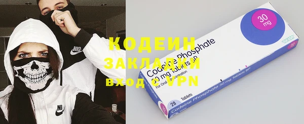 шишки Каменногорск