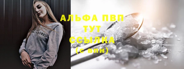 сатива Каменск-Шахтинский