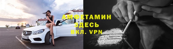 шишки Каменногорск