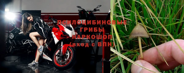 шишки Каменногорск