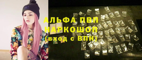 шишки Каменногорск