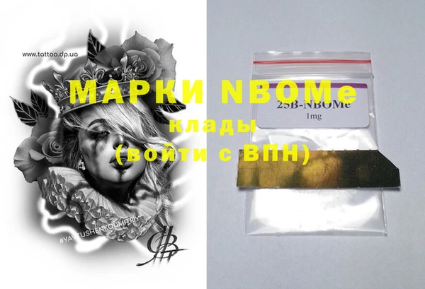 СК Инта