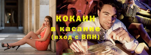 сатива Каменск-Шахтинский